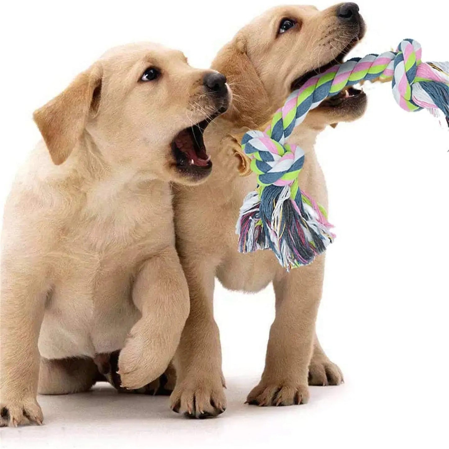 Puppy Ten Teething Boredom Toys available at Adorable Pet Supply.