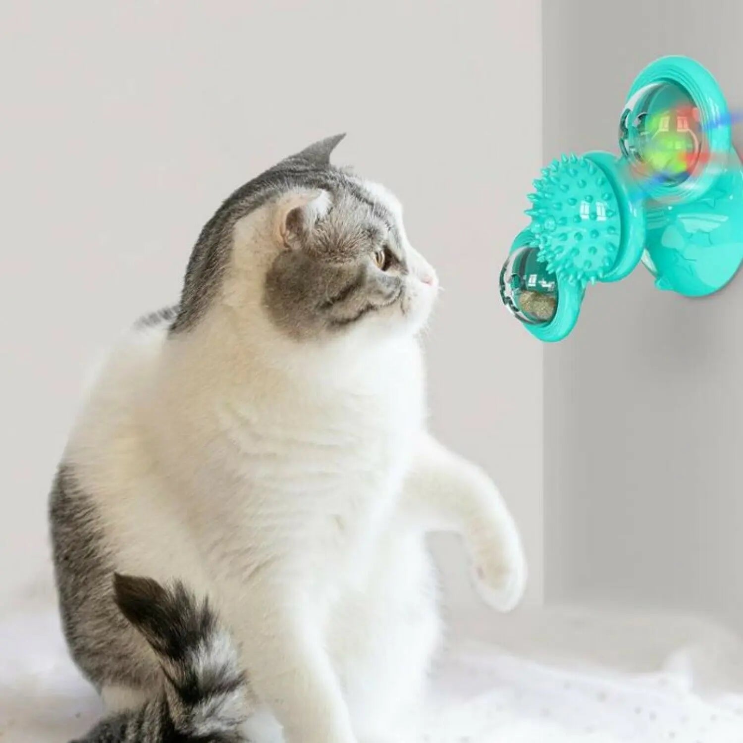 Windmill Fidget Spinner Cat LED Toy is available at Adorable Pet Supply.
