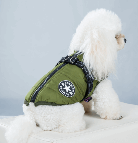 A fleece jacket and harness is available at Adorable Pet Supply.