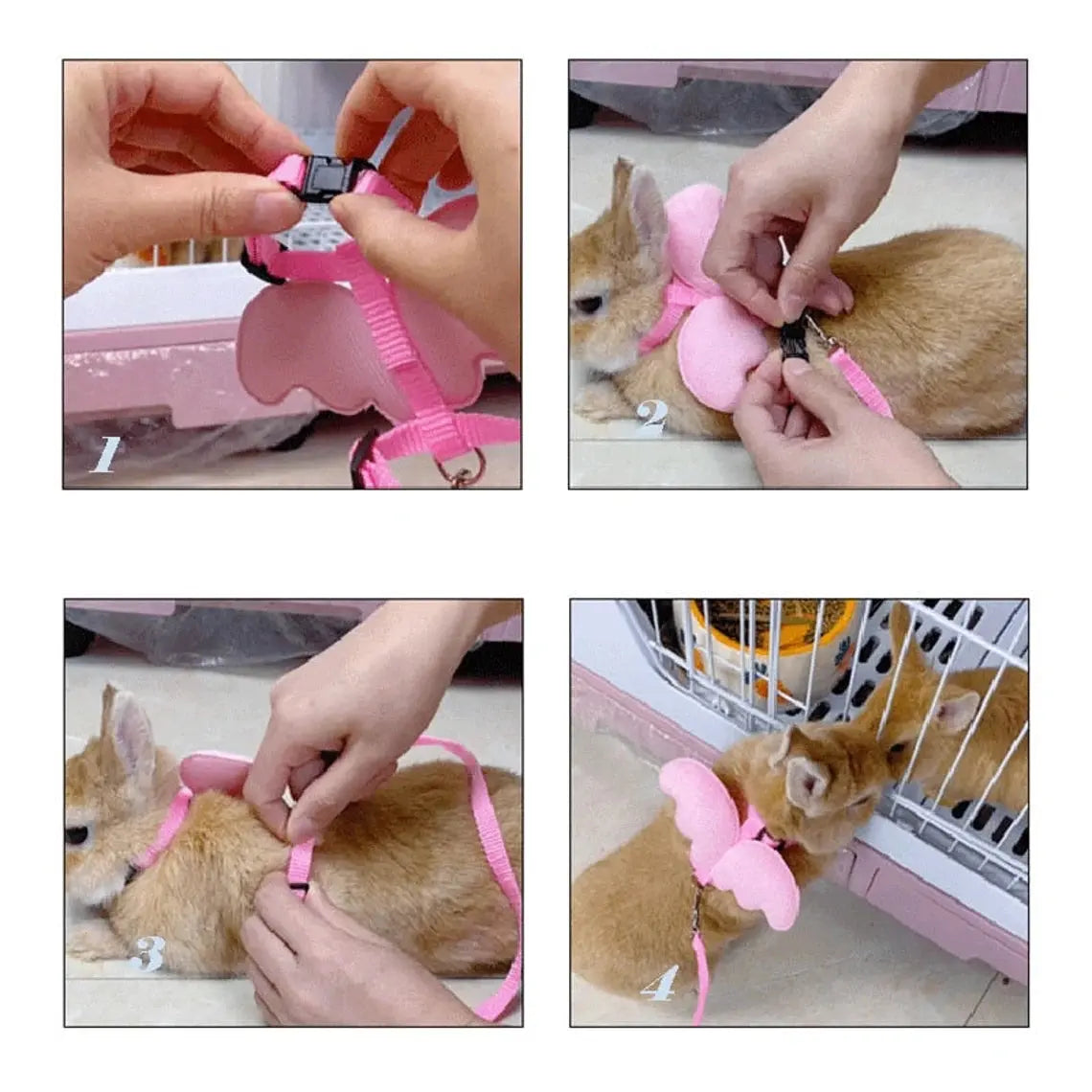 Angel Wing Harness | Rabbit Leash and Harness