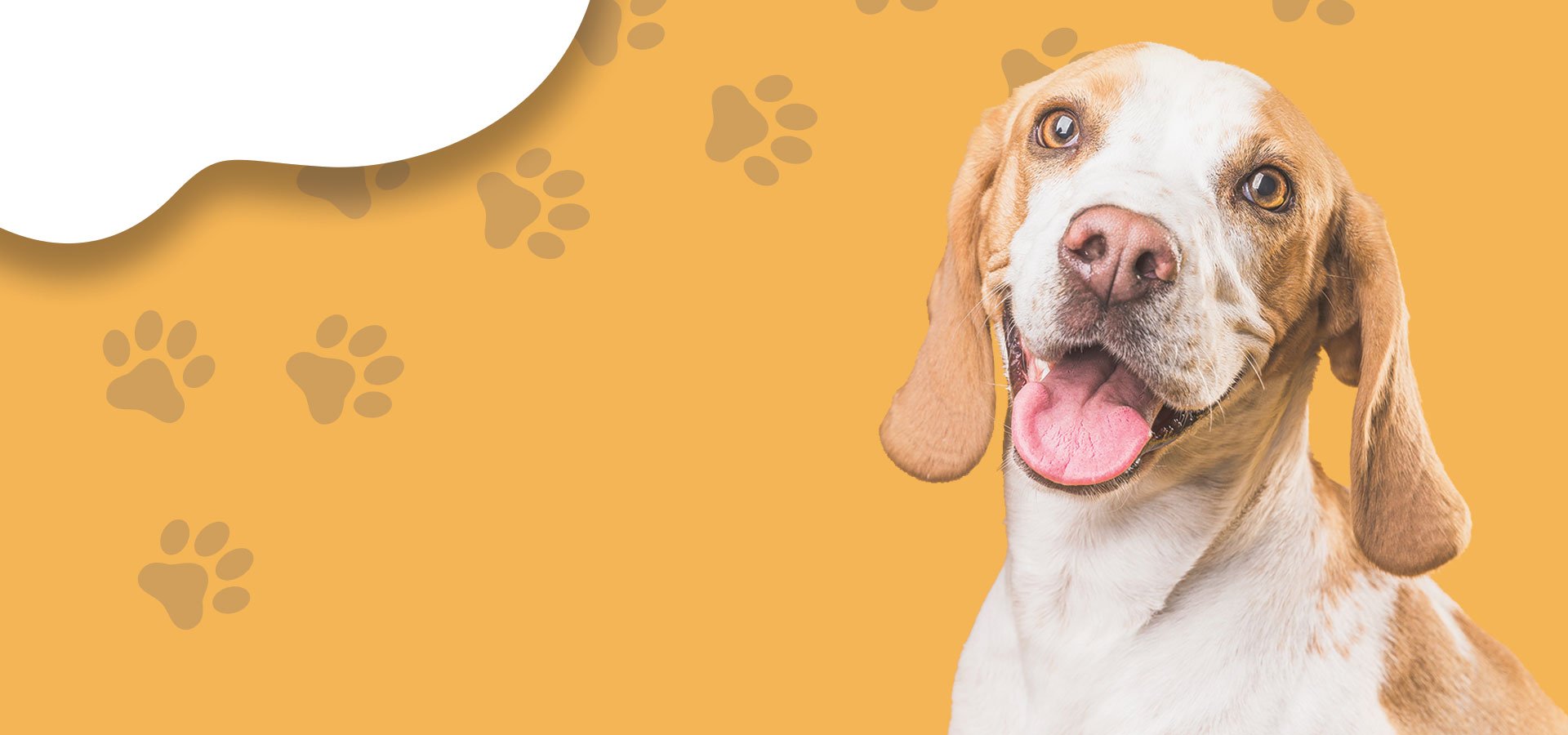Adorable Pet Supply | Safe & Cute Pet Products for Your Pets