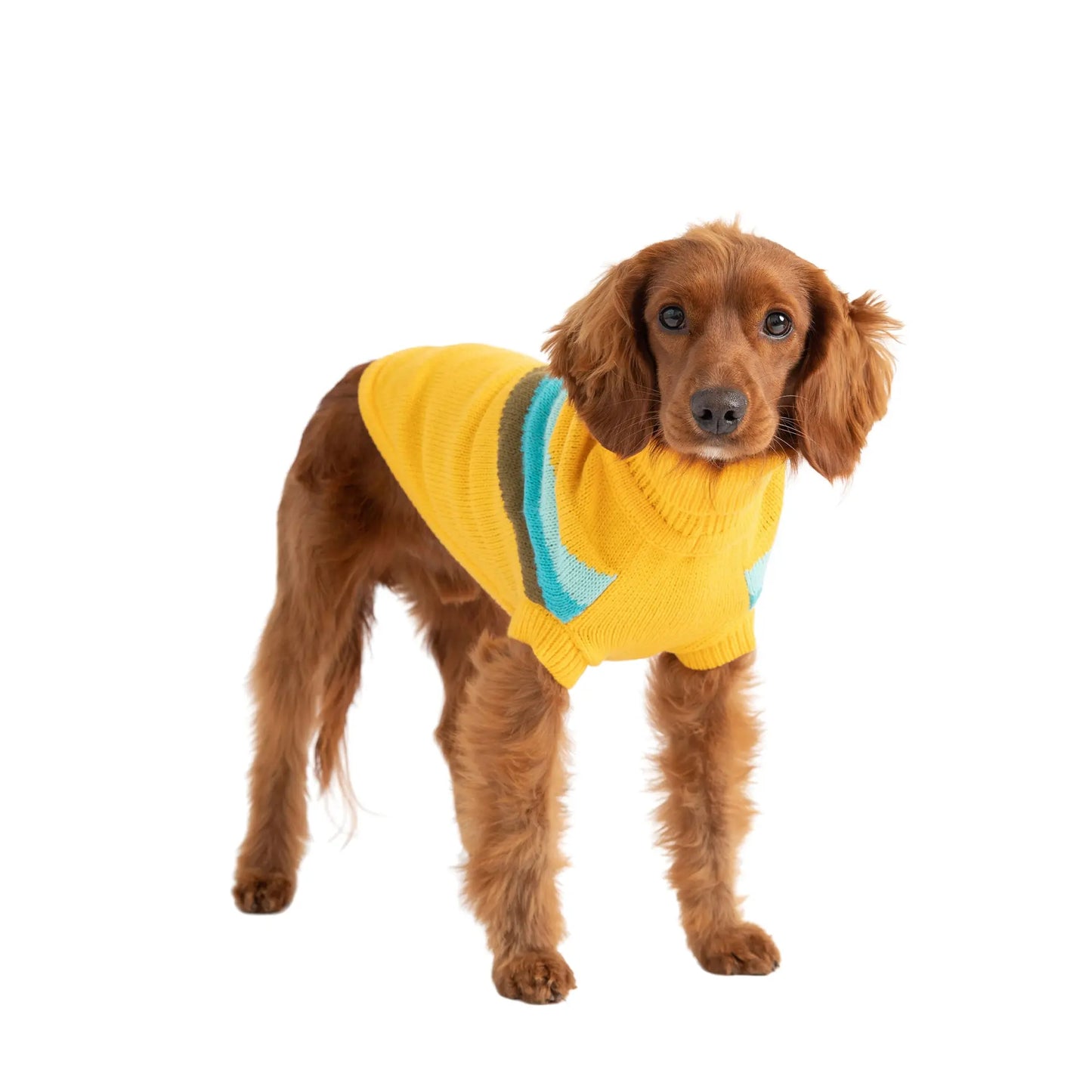 Turtleneck Dog Sweater | Retro Dog Sweater
