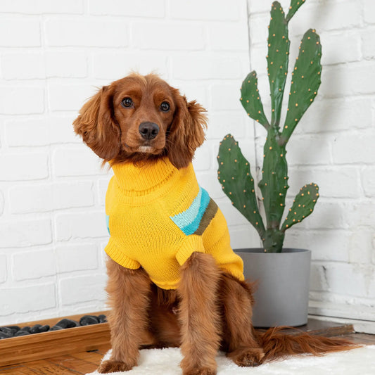 Turtleneck Dog Sweater | Retro Dog Sweater