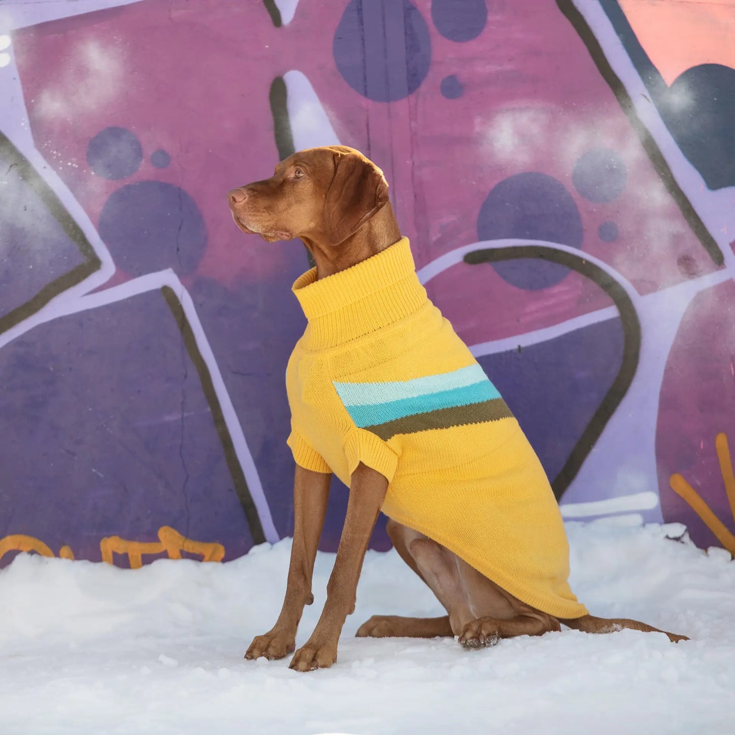 Turtleneck Dog Sweater | Retro Dog Sweater
