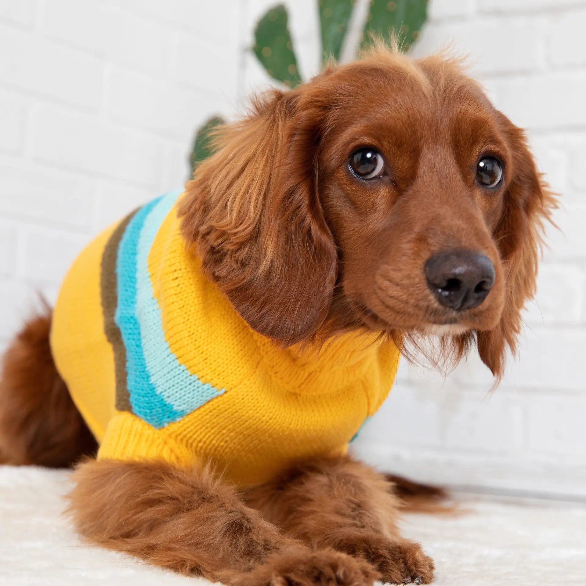 Turtleneck Dog Sweater | Retro Dog Sweater