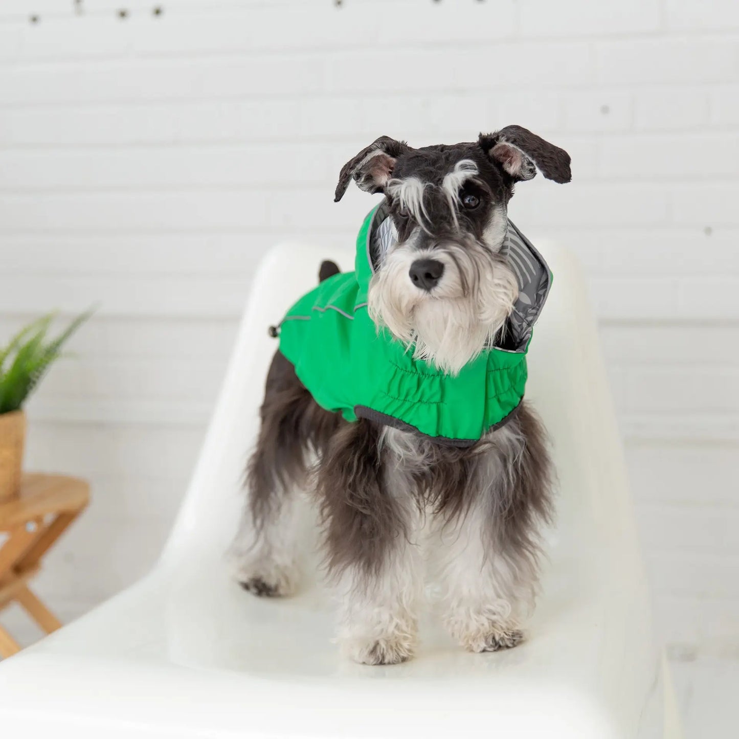 GF PET Reversible Elasto Raincoat available at Adorable Pet Supply.