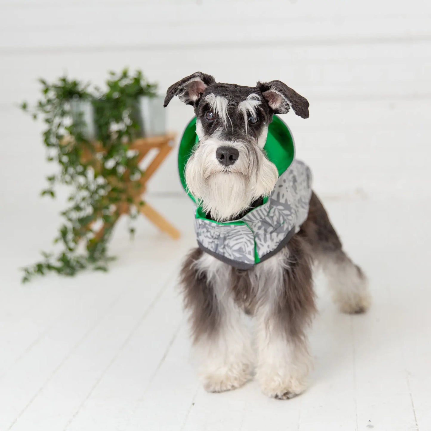 GF PET Reversible Elasto Raincoat available at Adorable Pet Supply.