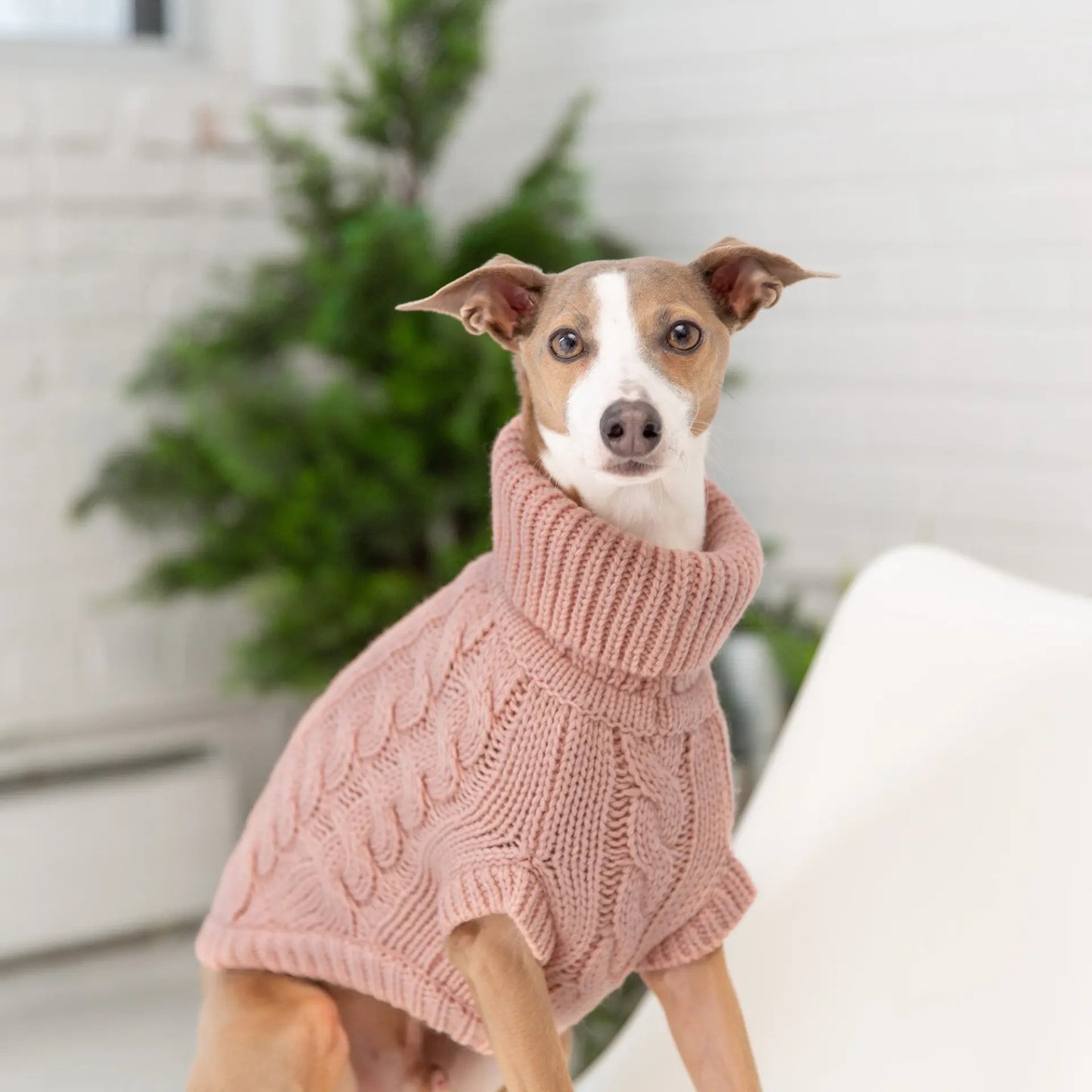 GF Pet Chalet Dog Pink Sweater available at Adorable Pet Supply