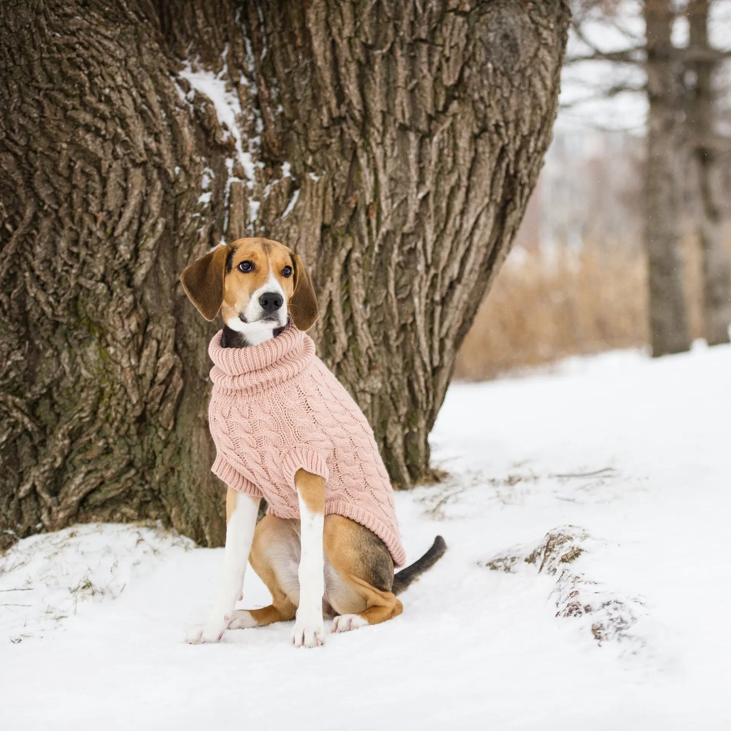 GF Pet Chalet Dog Pink Sweater available at Adorable Pet Supply