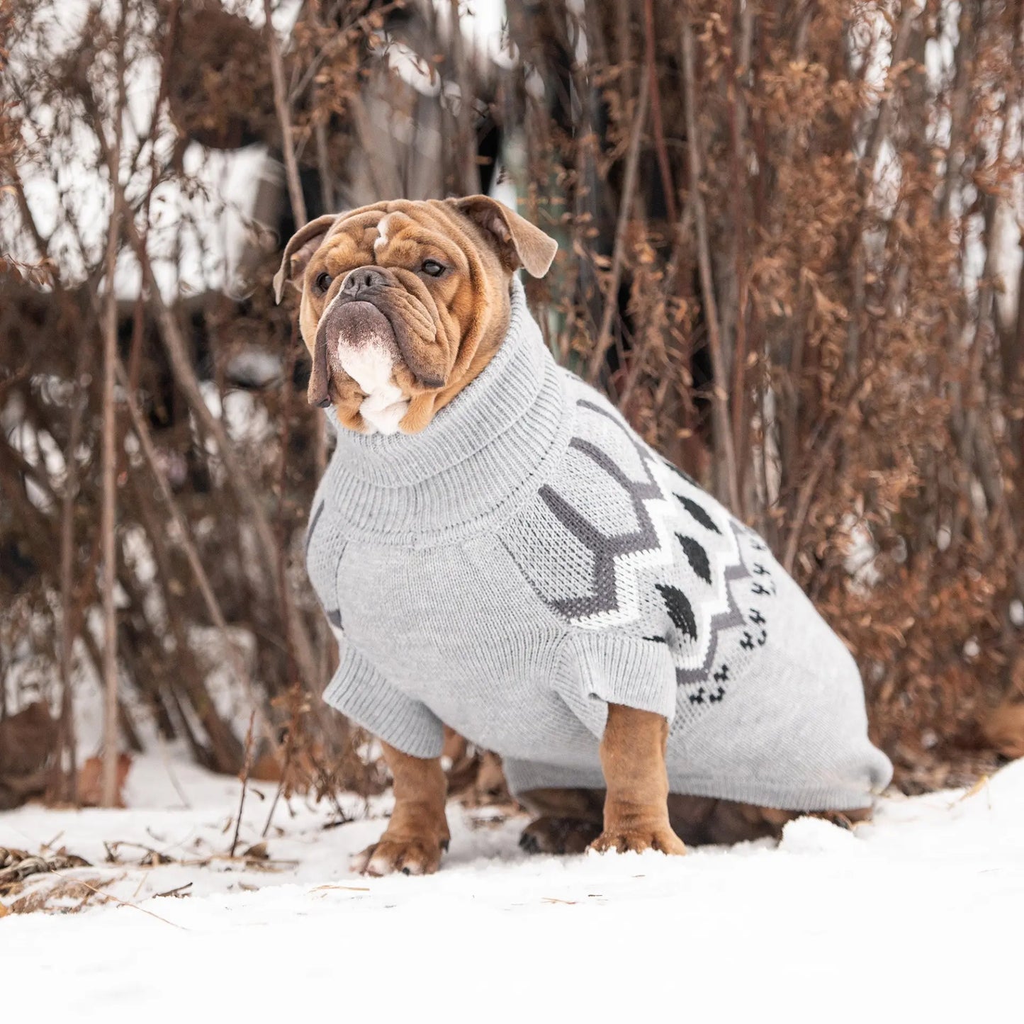 GT PET Heritage Grey Dog Sweater availability at Adorable Pet Supply.