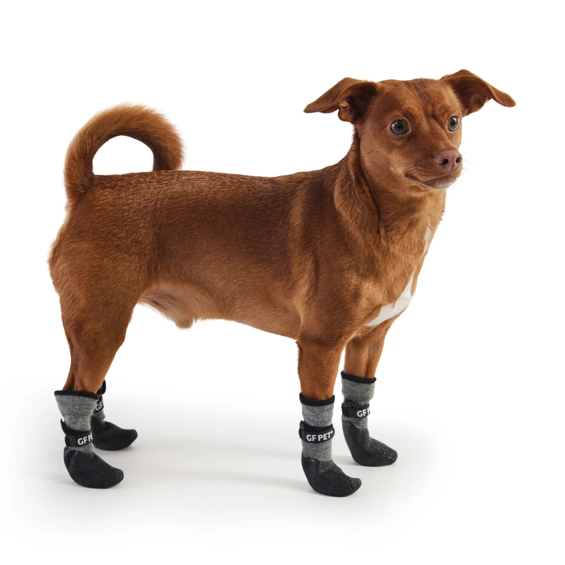 Waterproof Dog Boots | Lightweight Dog Boots