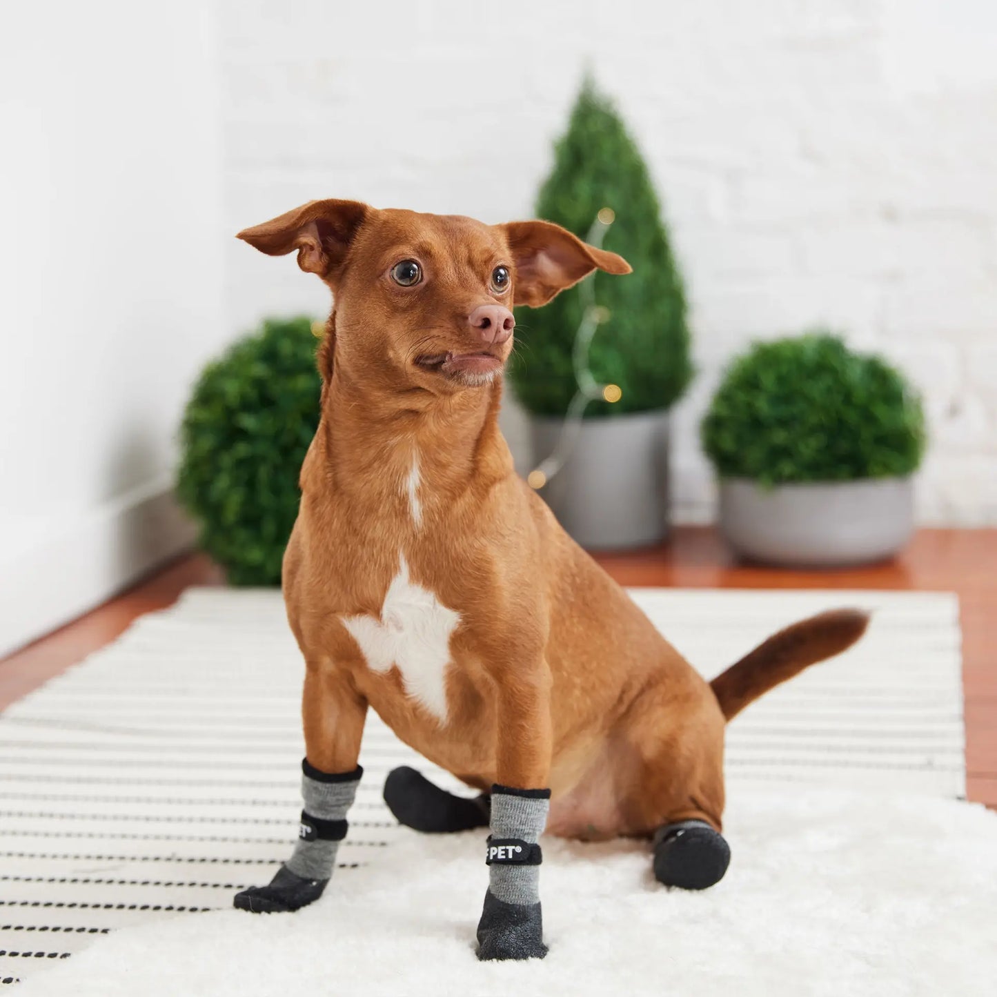 Waterproof Dog Boots | Lightweight Dog Boots
