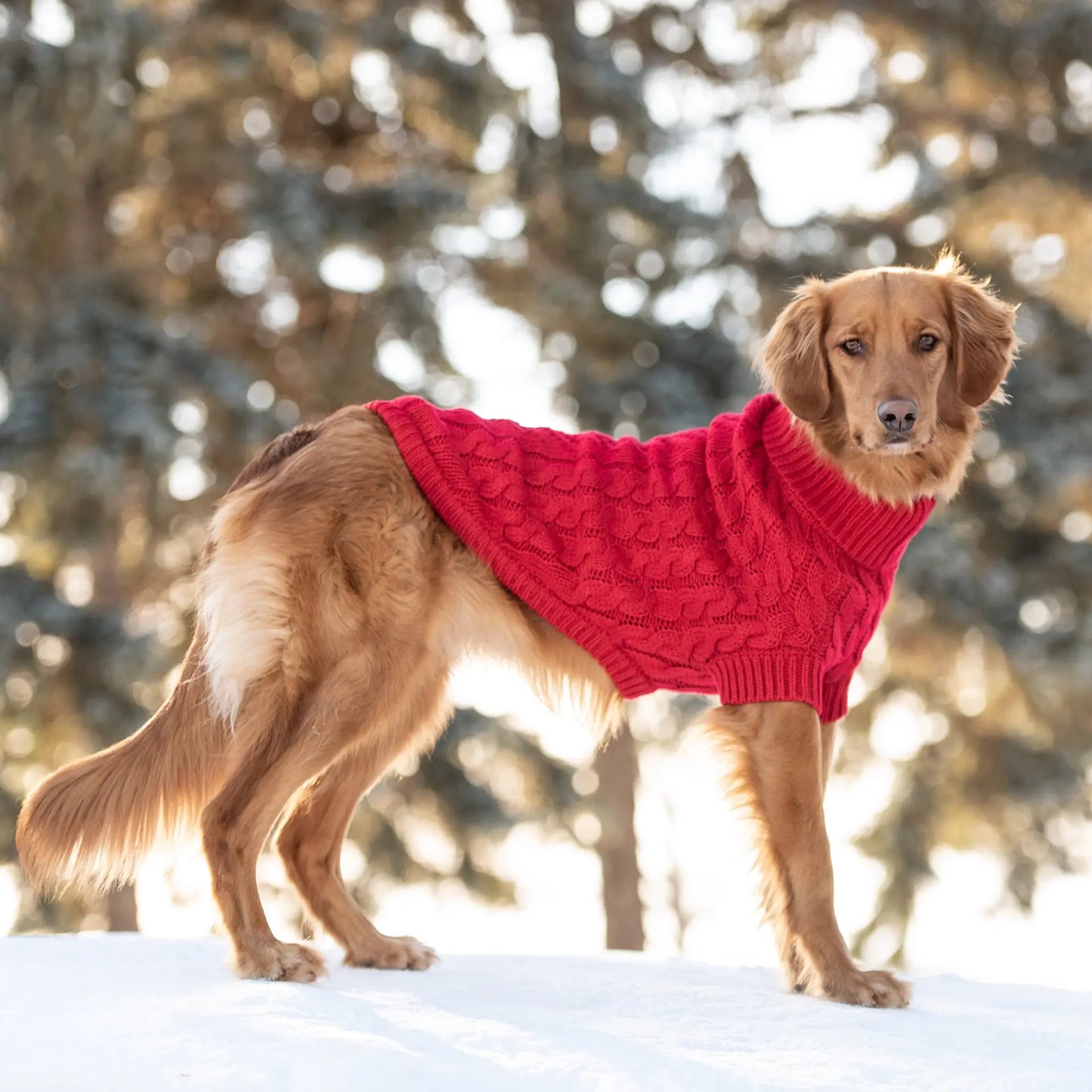 Chalet Dog Sweater - Red - Adorable Pet Supply