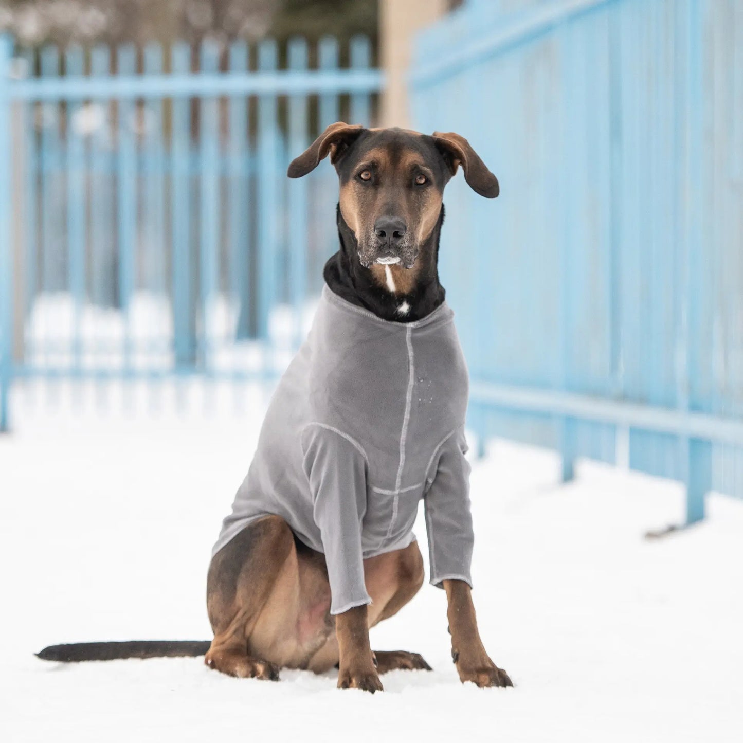 GT PET Gondola Charcoal Fleece available at Adorable Pet Supply.