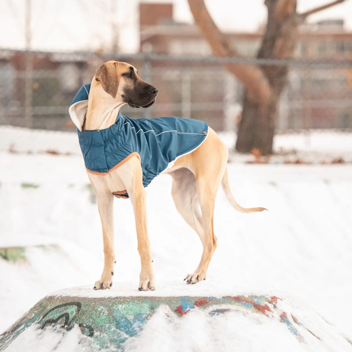 GT Pet Blue Insulated Raincoat available at Adorable Pet Supply.