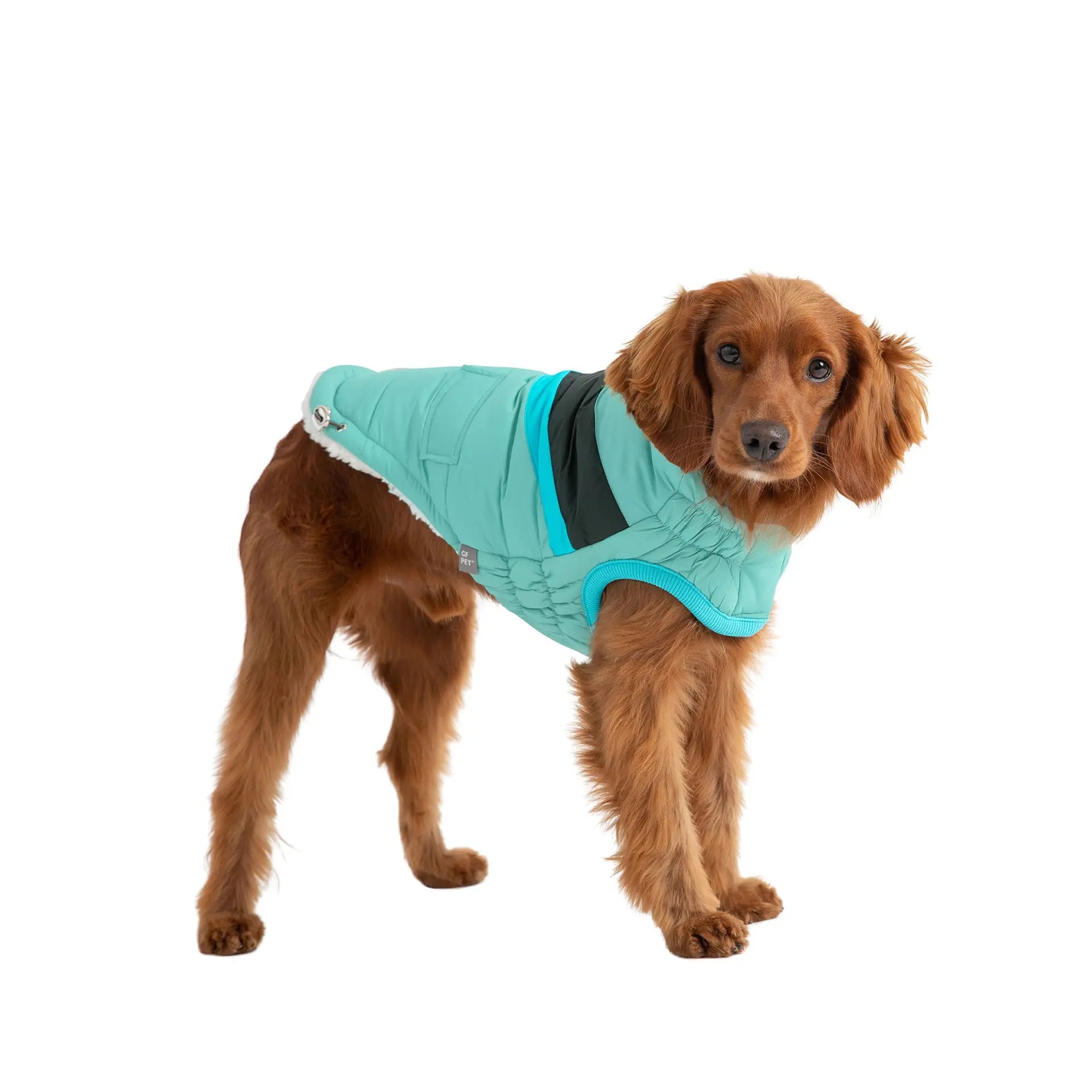 Dog Puffer Jacket | Stylish Dog Puffer Coat