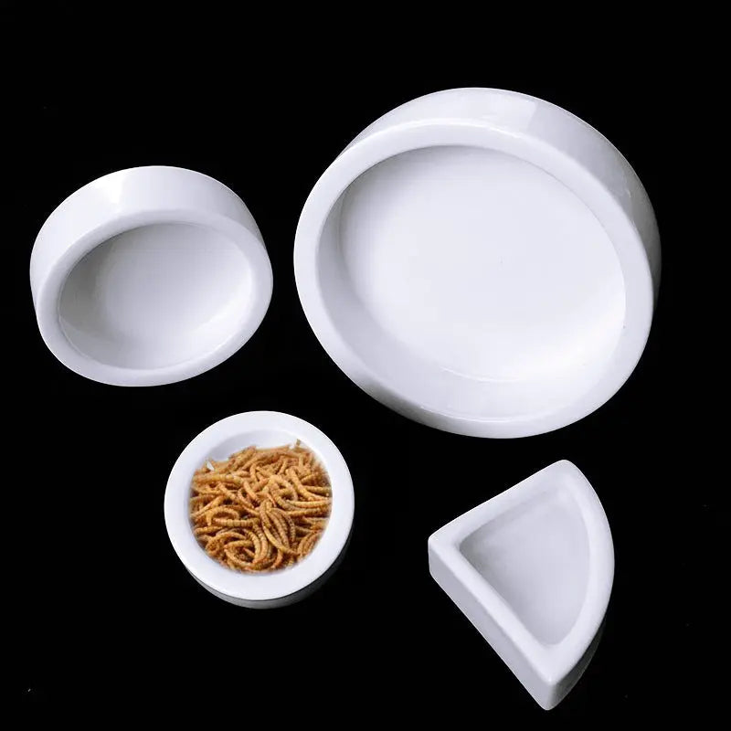 A Reptile Ceramic Food Bowl available at Adorable Pet Supply.
