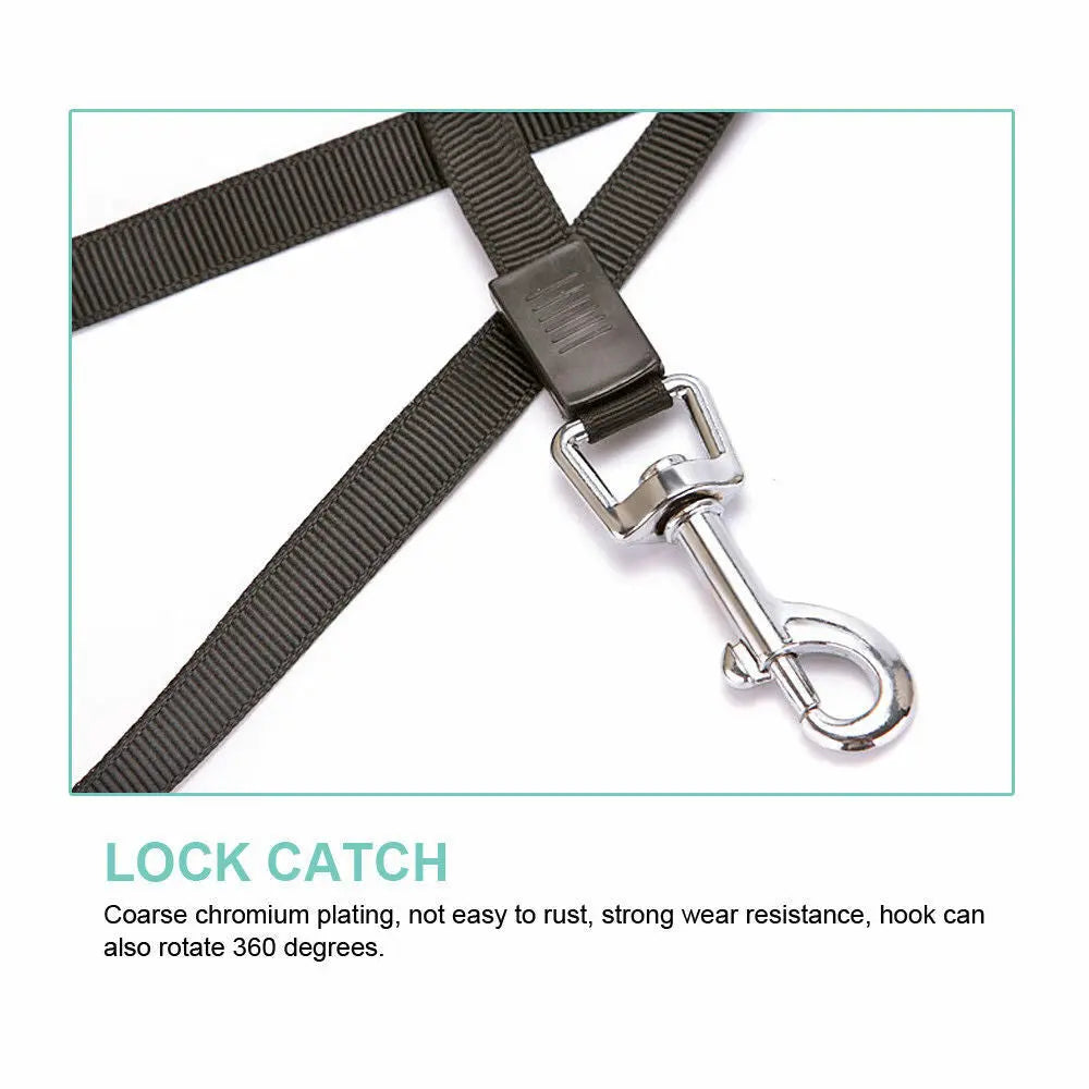 Automatic Retractable Dog Leash | Extendable Pet Leash