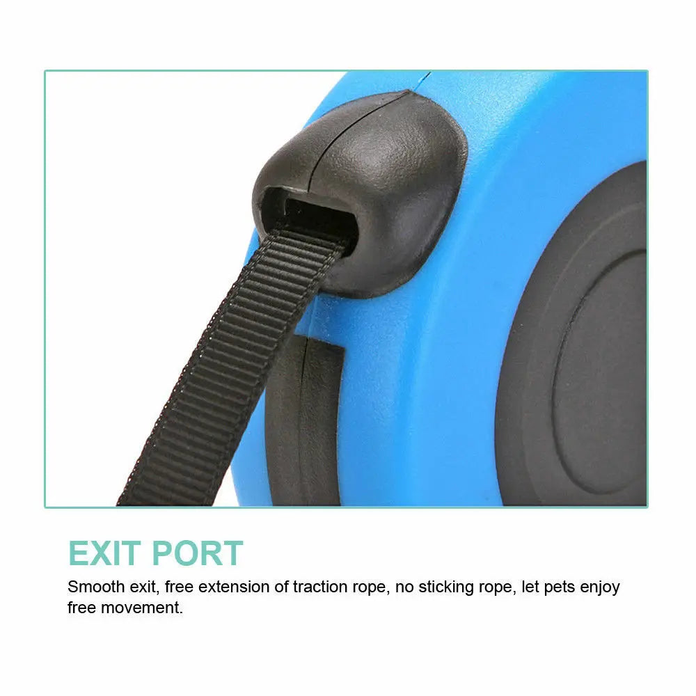 Automatic Retractable Dog Leash | Extendable Pet Leash