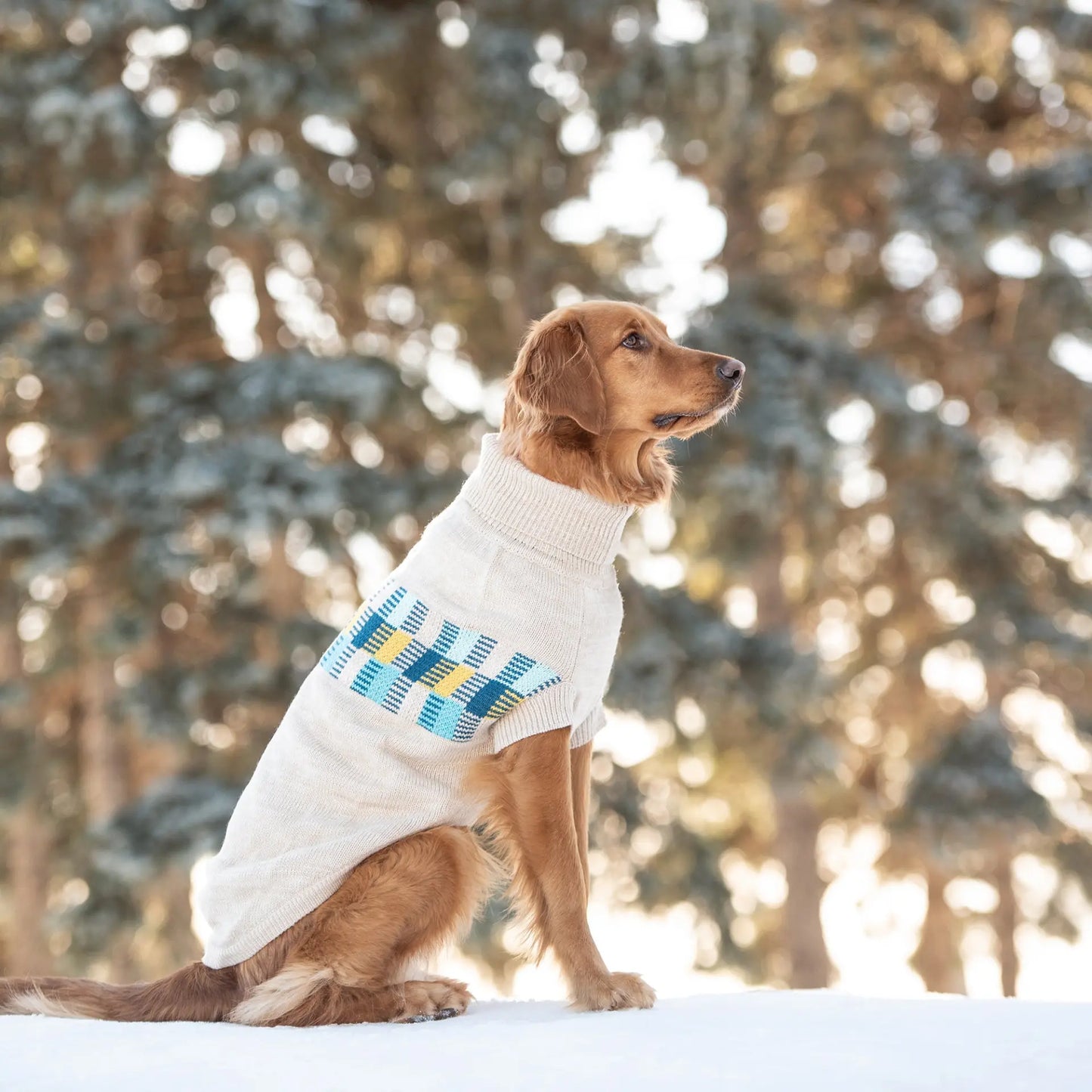 Winter Sailor GF PET Sweater is available at Adorable Pet Supply.