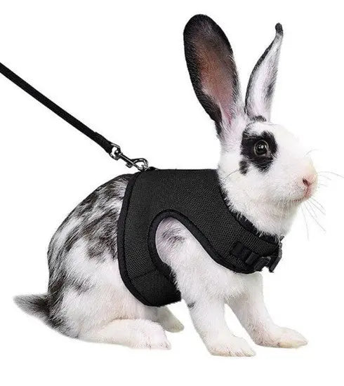 Rabbit Harness & Leash Combo available at Adorable Pet Supply.