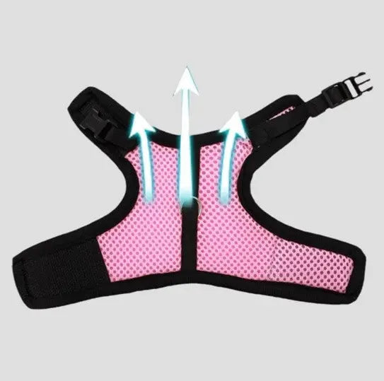 Rabbit Harness & Leash Combo available at Adorable Pet Supply.