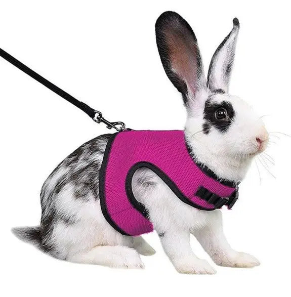 Rabbit Harness & Leash Combo available at Adorable Pet Supply.