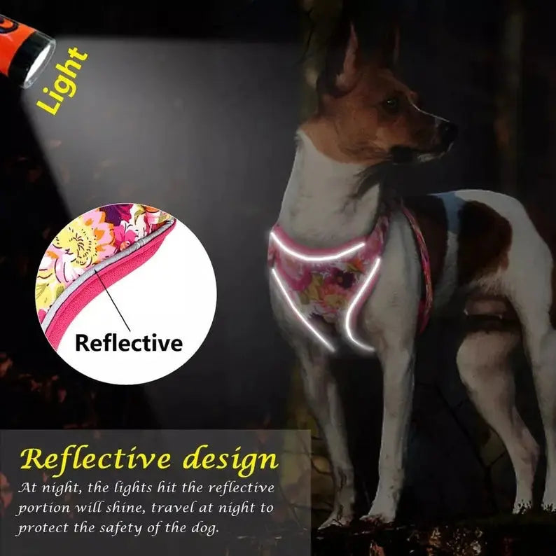 A Floral Dog Harness Set available at Adorable Pet Supply.