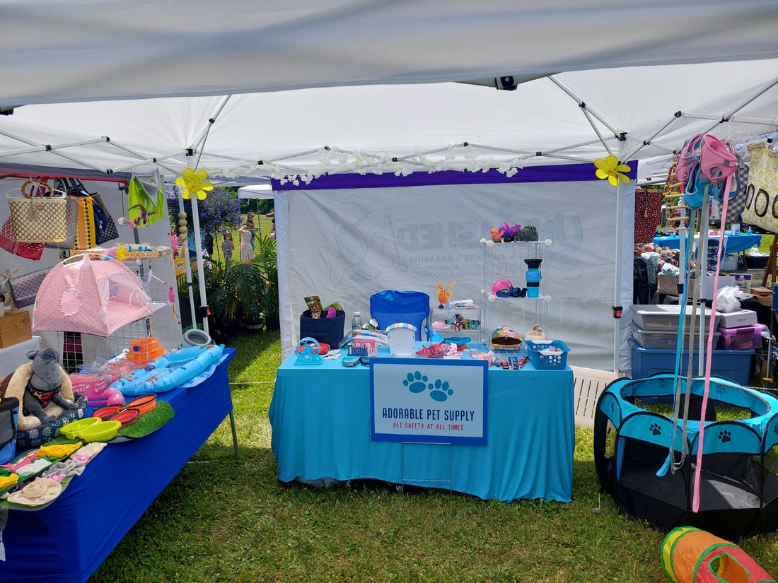 Our Next Vendor Show