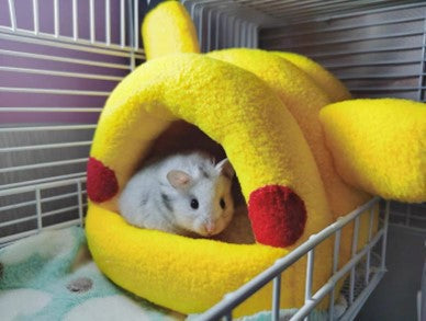 A Yellow Cow hideout canbe purchase at Adorable Pet Supply. 