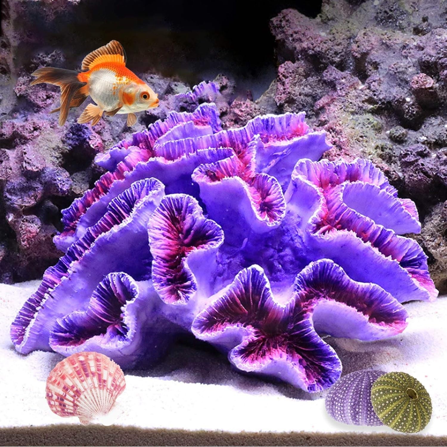 An gorgeous purple decor for aquariums.