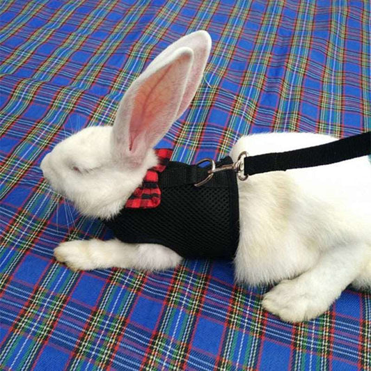 The cutest Bunny Rabbit vest is available at Adorable Pet Supply.