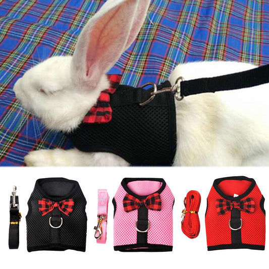 The cutest rabbit vest and leash is available at Adorable Pet Supply.