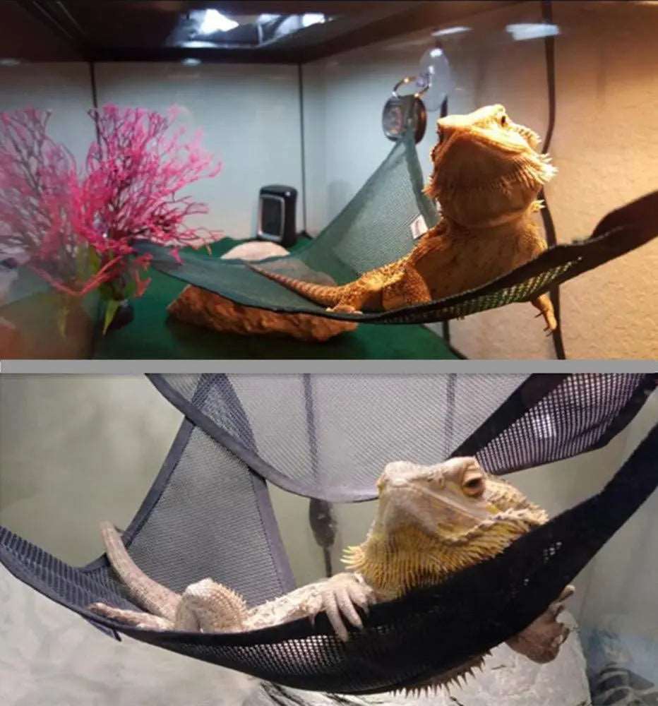 Reptile Hammock can be purchase at Adorable Pet Supply.