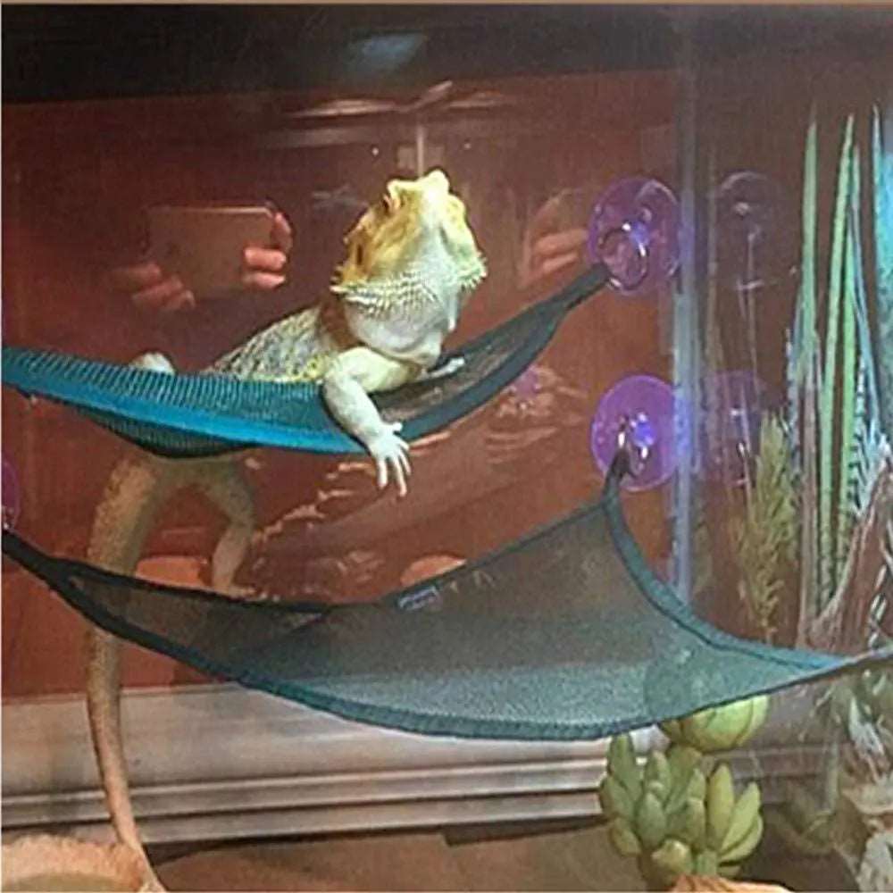 Reptile Hammock can be purchase at Adorable Pet Supply.