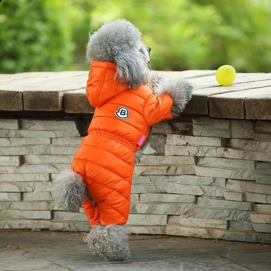 A Winter Doggie Down coat with bright colors  and warm enough for the winter.