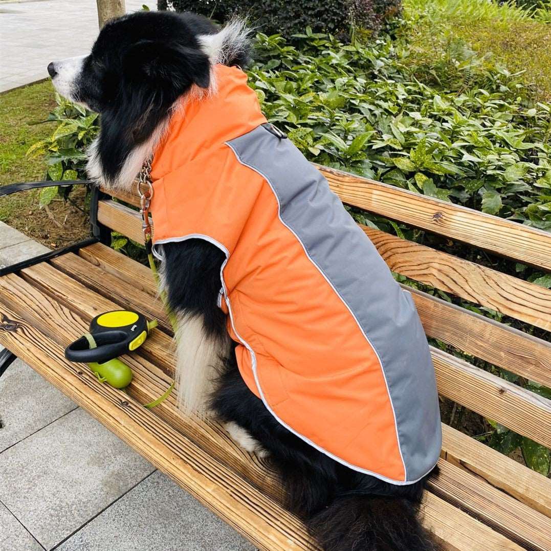 Fashion Sports Dog Jacket | Dog Training Jacket