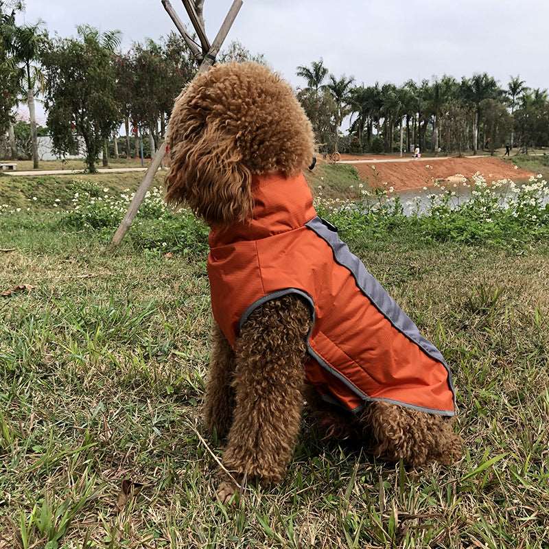 Fashion Sports Dog Jacket | Dog Training Jacket