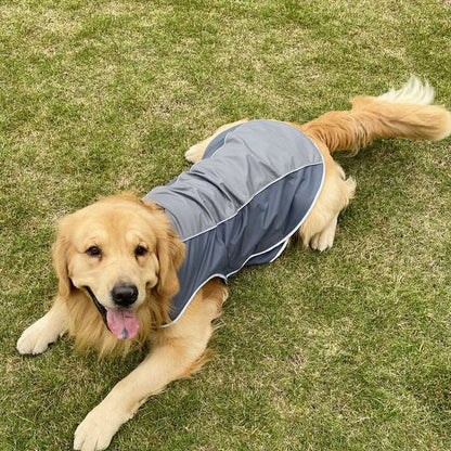 Fashion Sports Dog Jacket | Dog Training Jacket