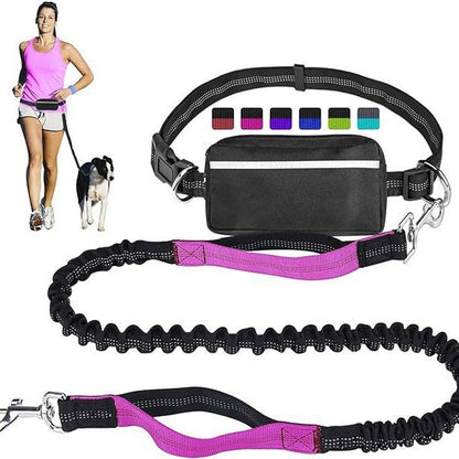 New Product Amazon Cross-Border Pet Dog Running Leash Set Reflective Night Running Waist Bag