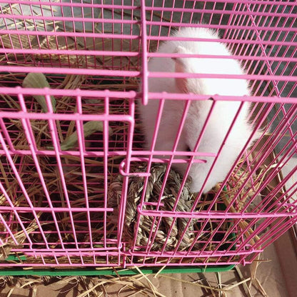 Timothy Grass Chew Ball for Rabbits & Small Pets
