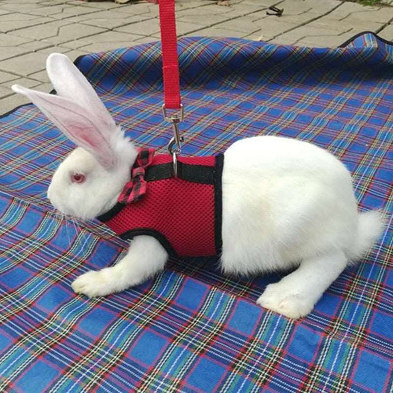 The cutest Bunny Rabbit vest is available at Adorable Pet Supply.