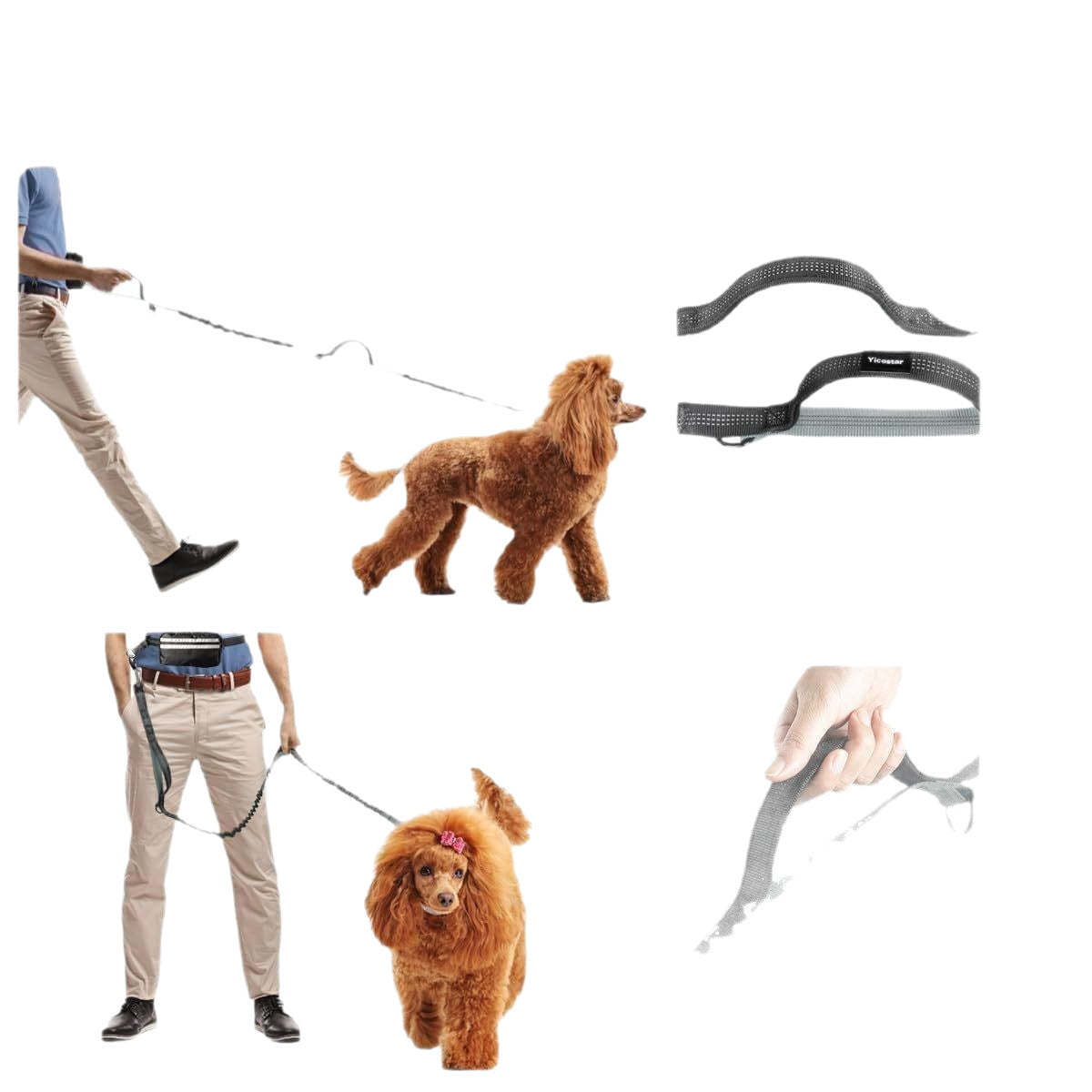New Product With Waist Bag Running Leash Amazon Pet Leash Cross-Border Sports Running Leash