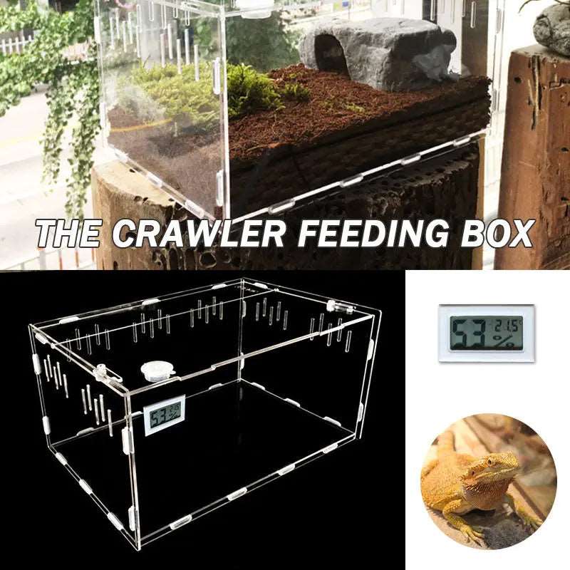 Reptile breeding box pet box Adorable Pet Supply