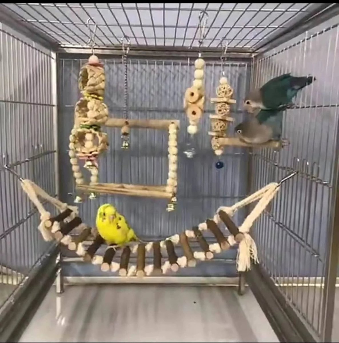 Bird Toy Arrangement