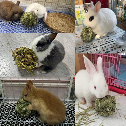 Timothy Grass Chew Ball for Rabbits & Small Pets