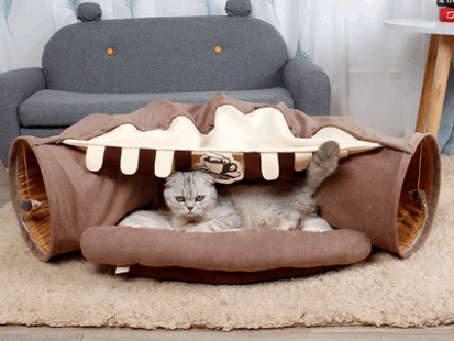 Here's a fun Playtime Tunnel that will be perfect for your pet and available at Adorable Pet Supply.