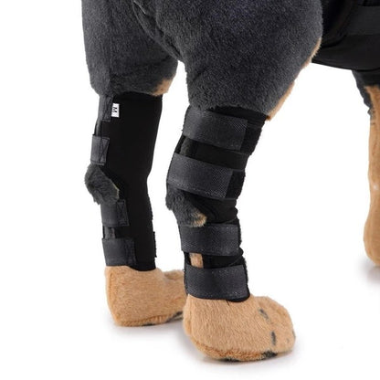 Dog Leg Brace can be purchase at Adorable Pet Supply.