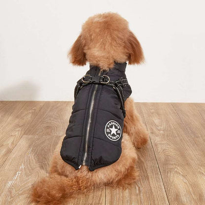 A fleece jacket and harness is available at Adorable Pet Supply.