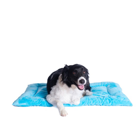 Dog Mat Bed | Bed Mats for Large Dogs 